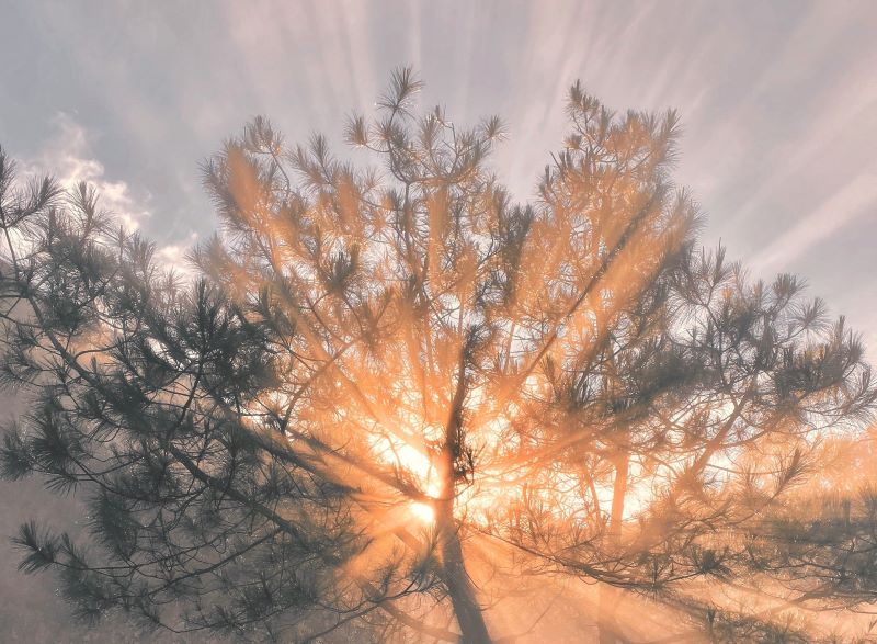 Luna de Cal cu element Apa Yang 27 mai-25 iunie 2025